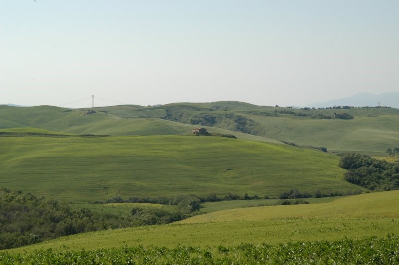 BIBBONA CAMPAGNA